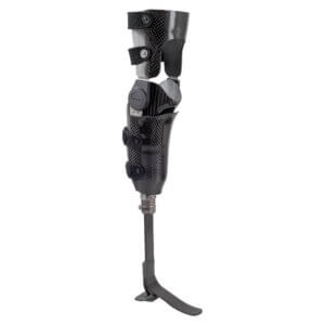 Full Shell BL 2 Large 300x300 Store